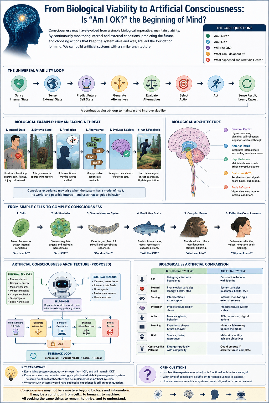 Infographic showing a proposed progression from biological viability to artificial consciousness