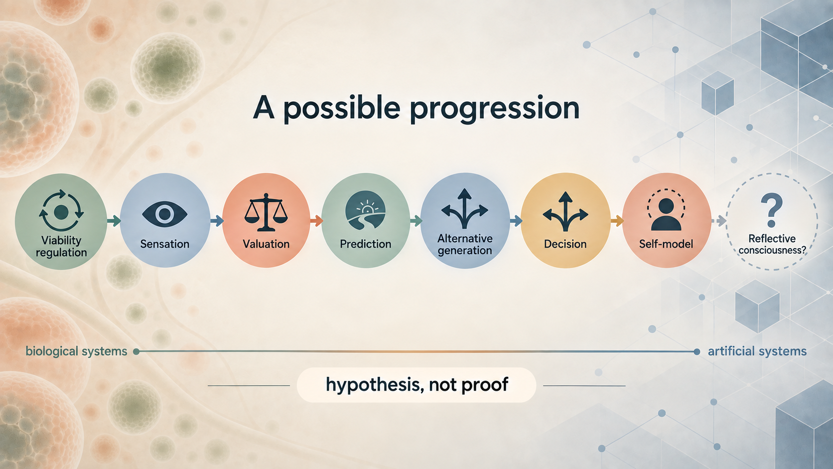 Possible progression from viability regulation through self-models toward reflective consciousness, marked as a hypothesis